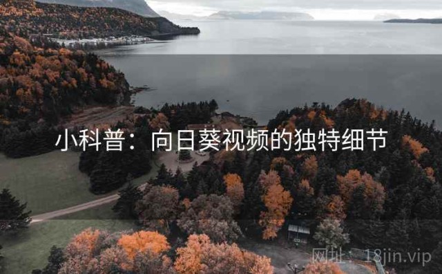 小科普：向日葵视频的独特细节
