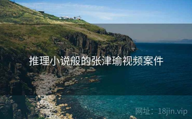 推理小说般的张津瑜视频案件