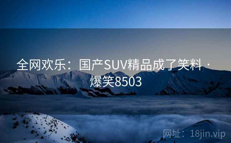 全网欢乐：国产SUV精品成了笑料 · 爆笑8503