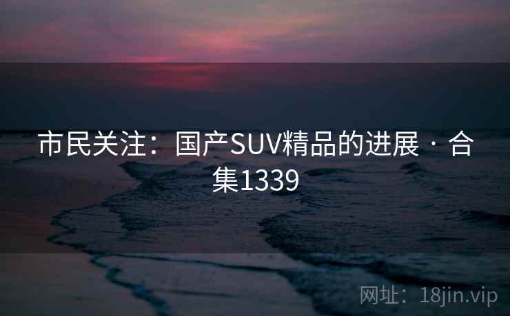 市民关注：国产SUV精品的进展 · 合集1339